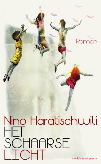 cover van Het schaarse licht