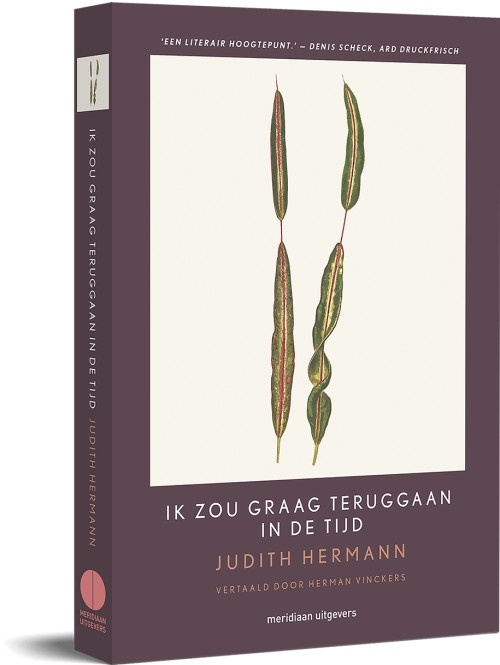Ik zou graag teruggaan in de tijd